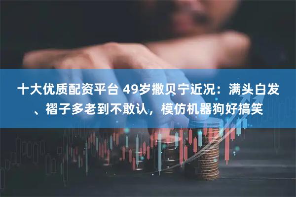 十大优质配资平台 49岁撒贝宁近况：满头白发、褶子多老到不敢认，模仿机器狗好搞笑