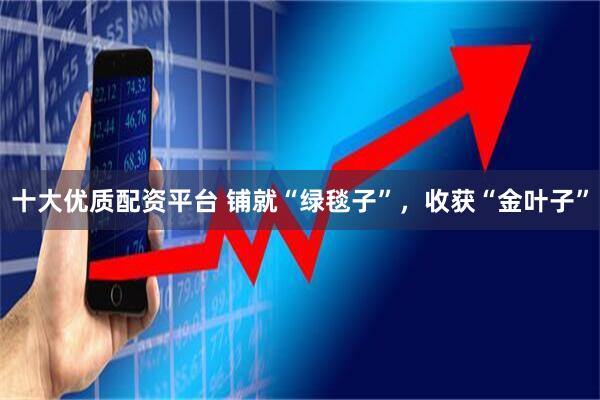十大优质配资平台 铺就“绿毯子”，收获“金叶子”