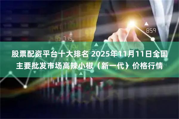 股票配资平台十大排名 2025年11月11日全国主要批发市场高辣小椒（新一代）价格行情